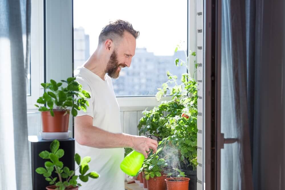 Homem cuidando de plantas borrifando água